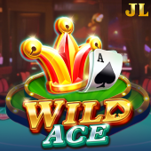 Wild Ace at Star Fox Game